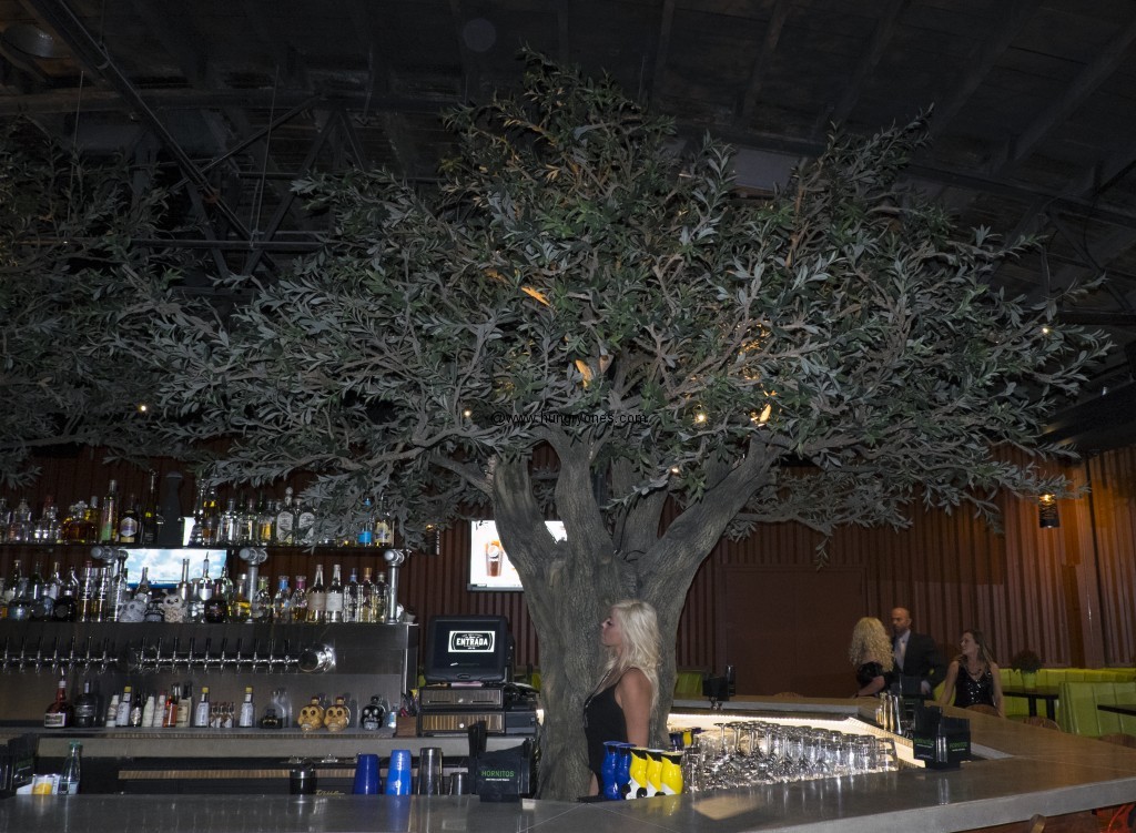 Tree/bar