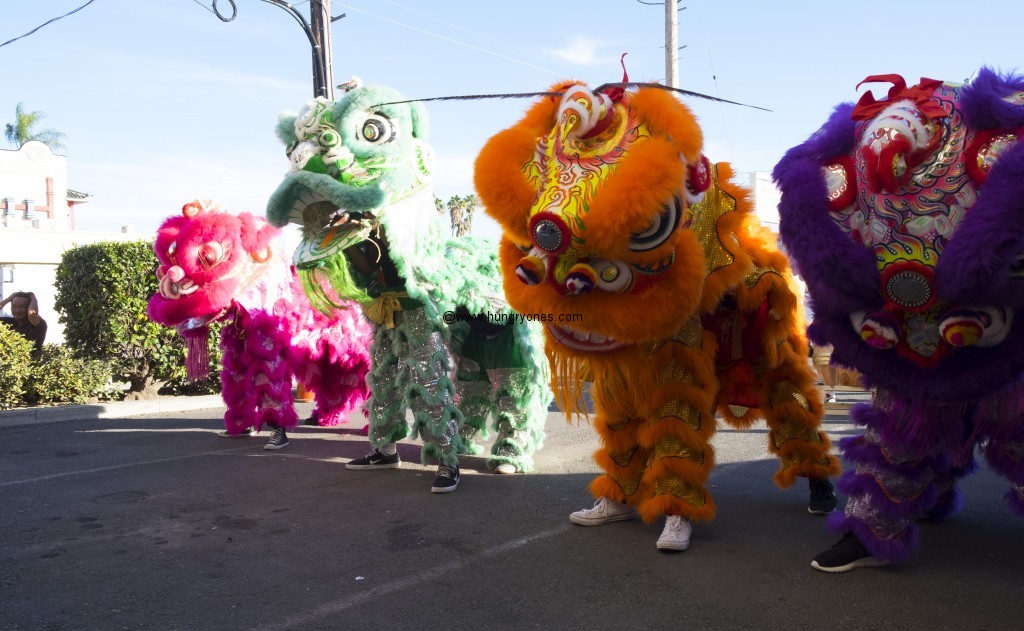 Lions dancing