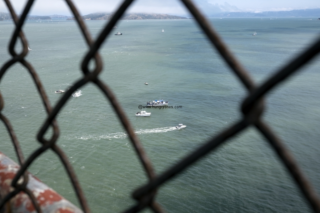 golden.gate.8798