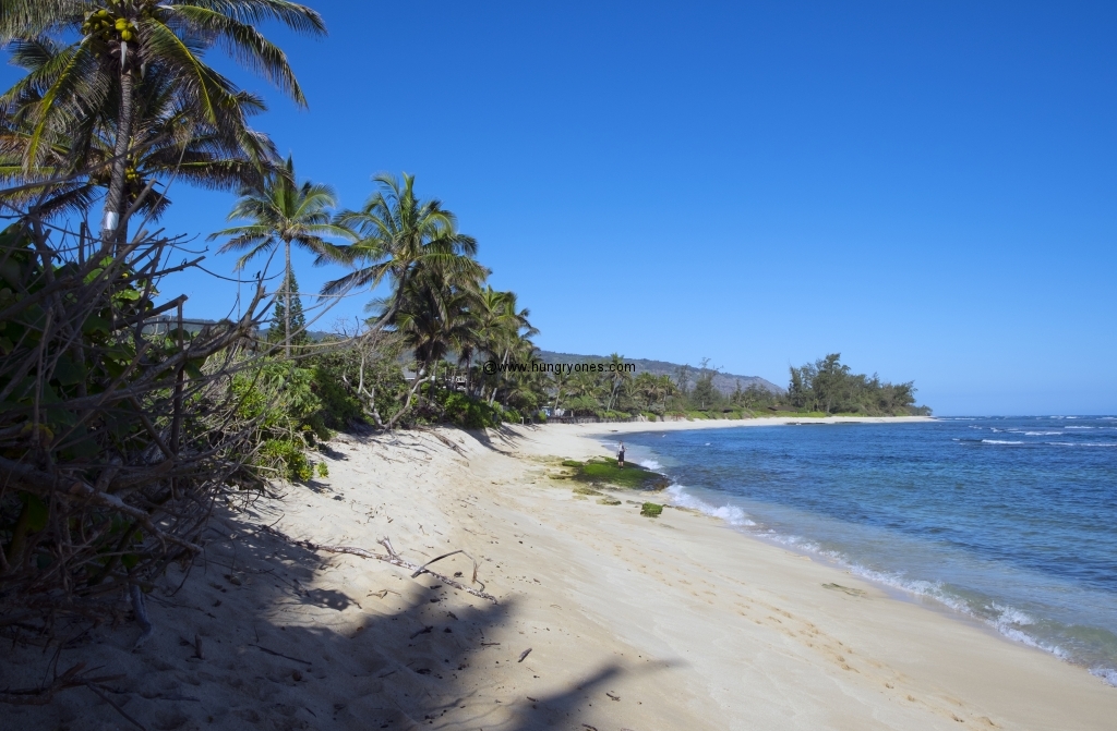 We had a private entrance to Crozier Beach.