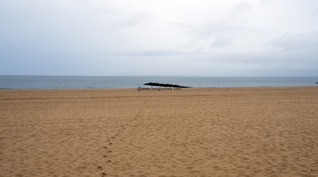 coney-island-2014