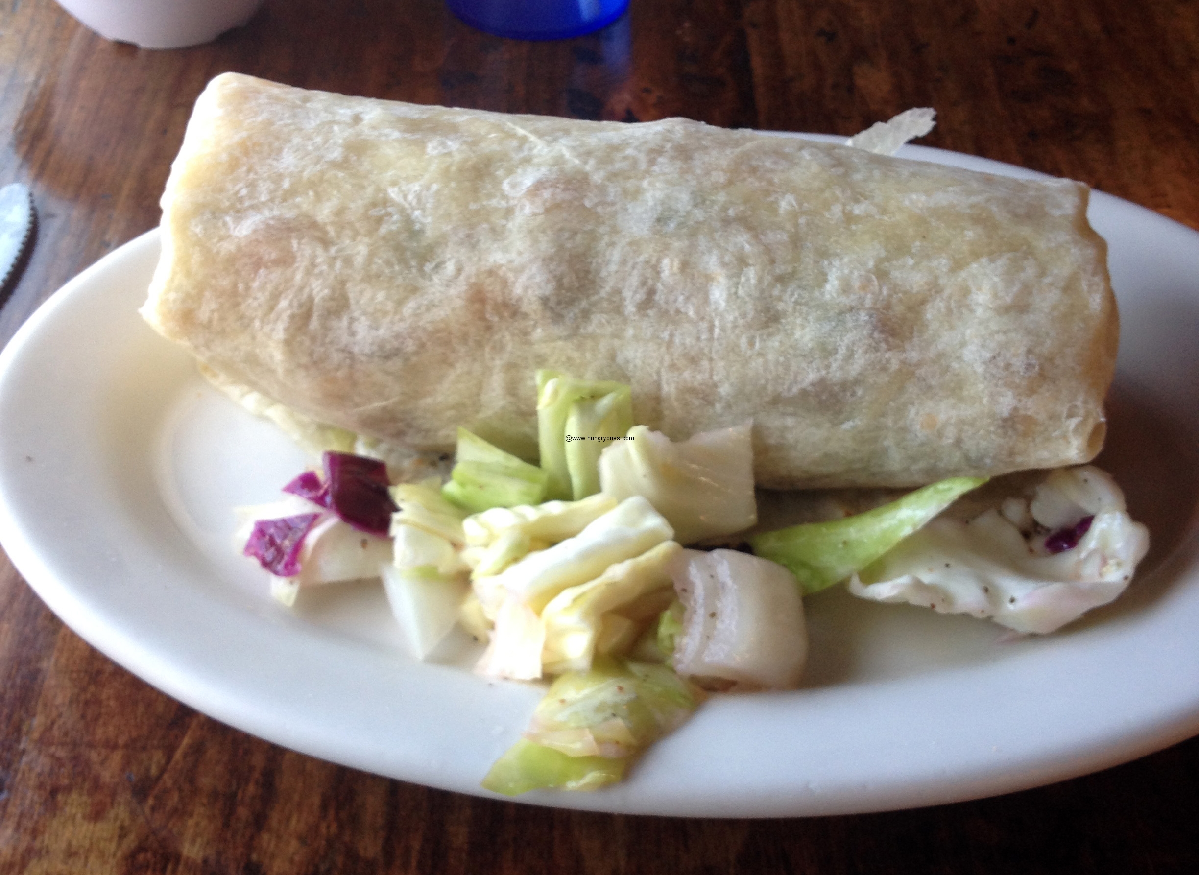 Pokez Mexican Restaurant & Vegetarian Cuisine - Hungryones.com - Food Blog