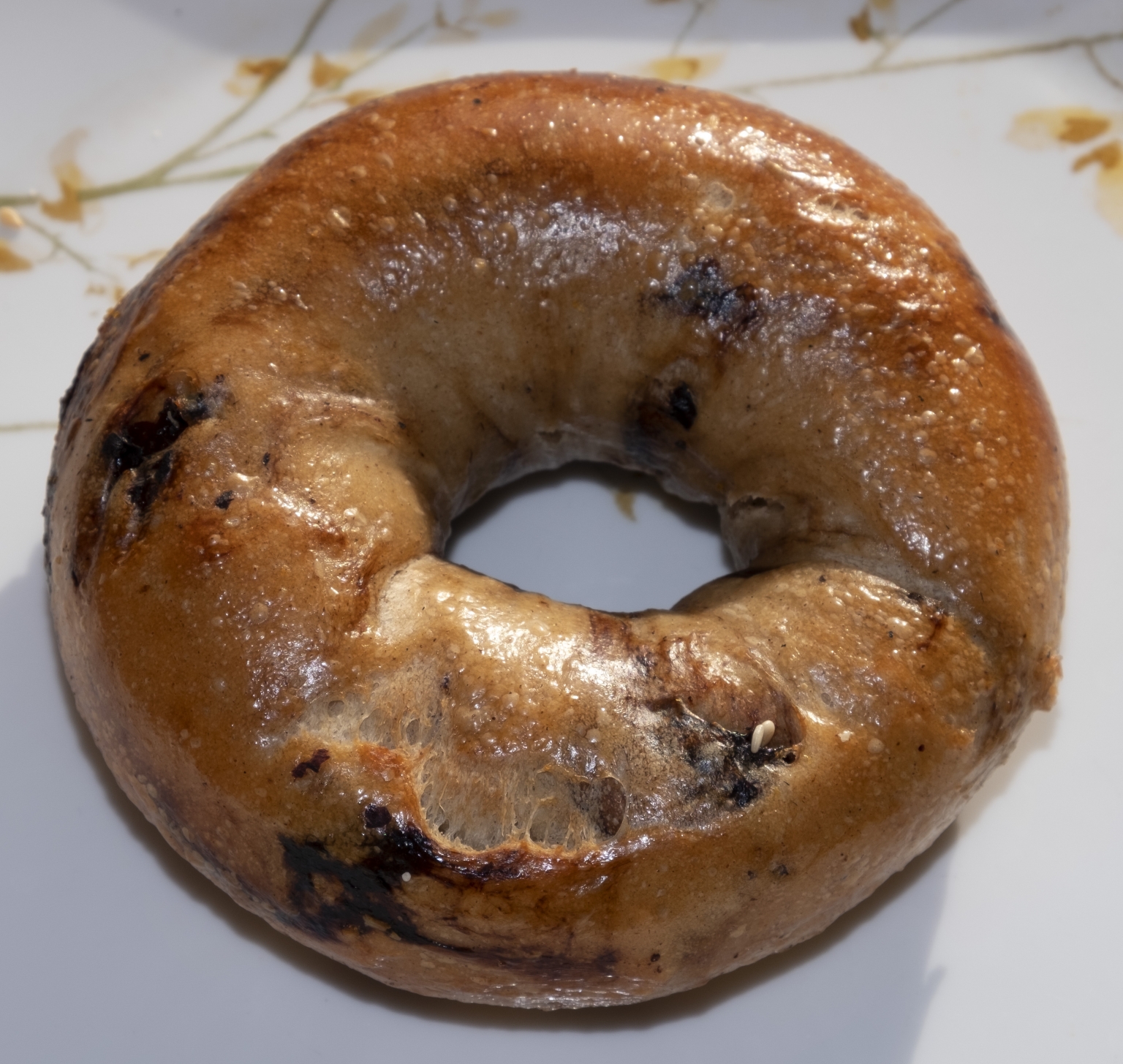 Solomon Bagels & Donuts Food Blog