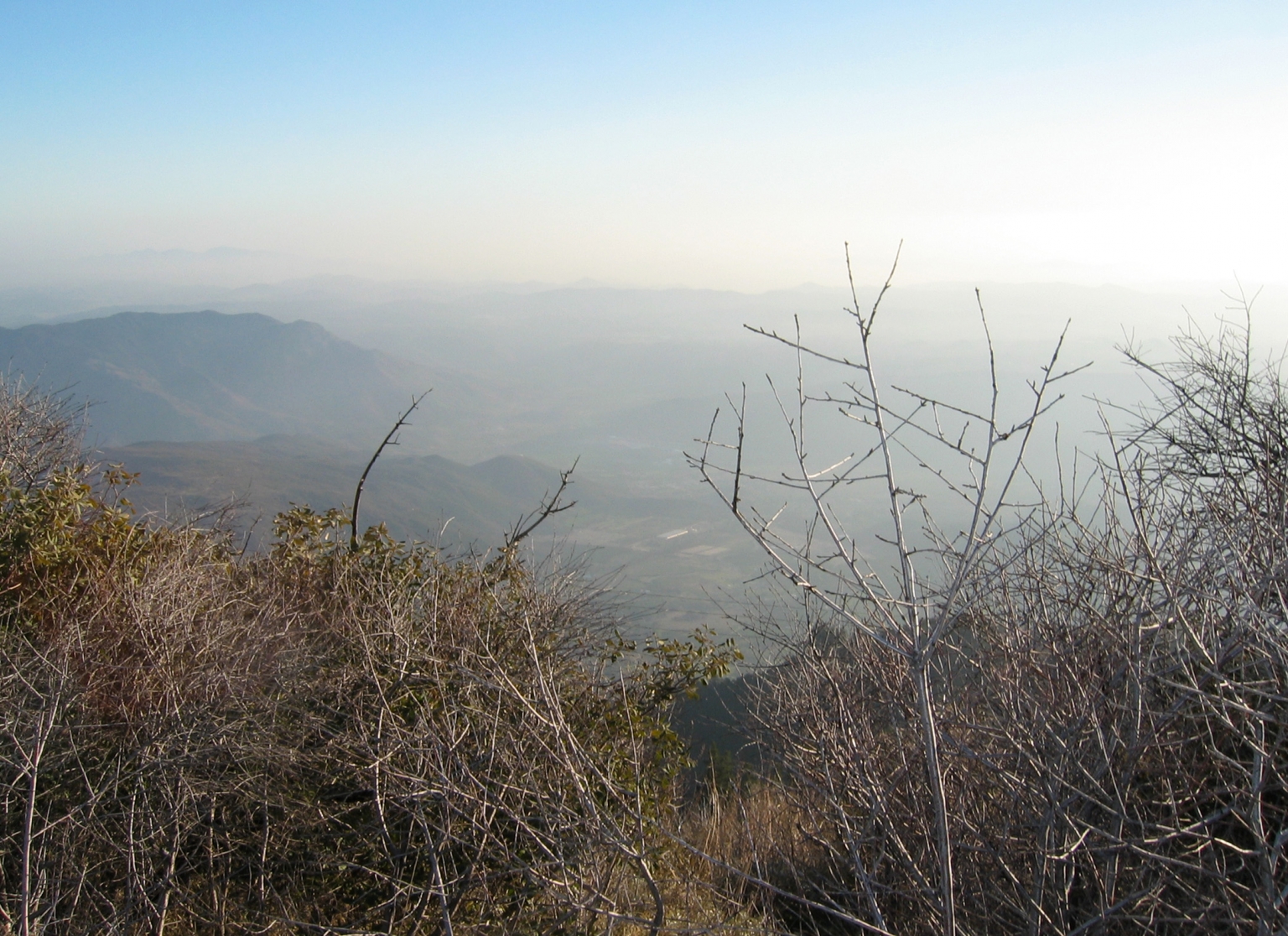 Palomar Mountain Spring Water - Hungryones.com - Food Blog