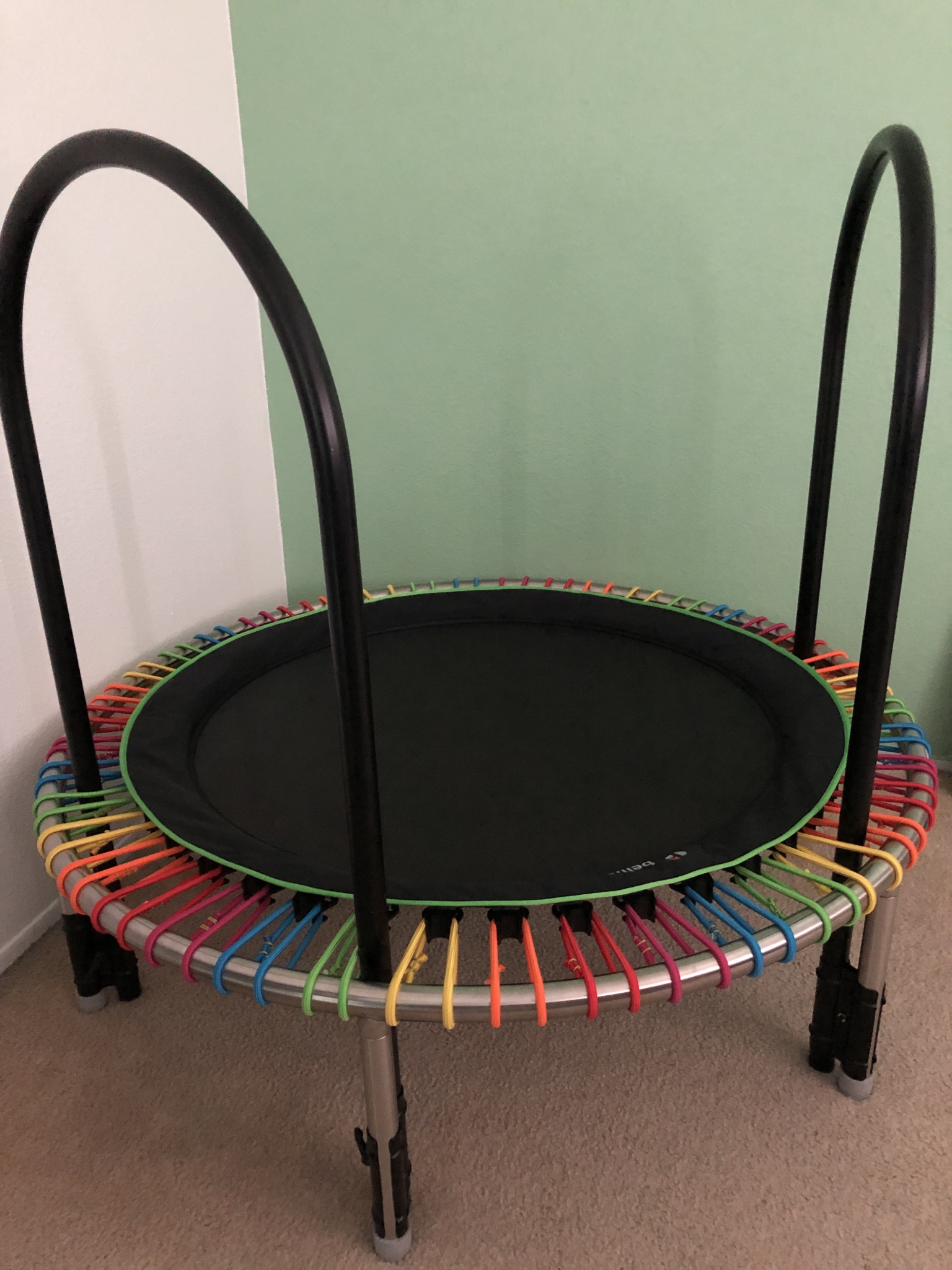 Bellicon Rebounder Food Blog